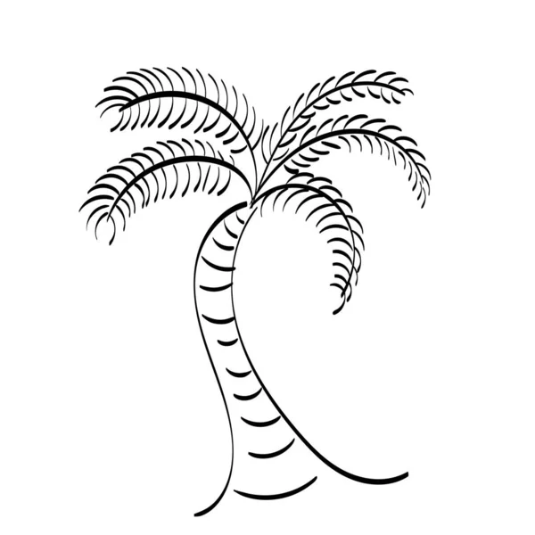 黑色矢量单棵棕榈树的设计 印刷或用作招贴画 传单或T恤衫的线条画 — 图库矢量图片