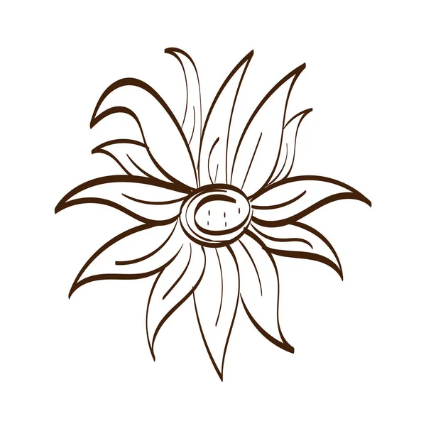 Flower Vector Art Blomma Konst Ritning Blomsterbroderimönster — Stock vektor
