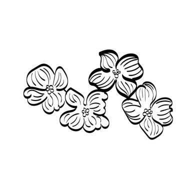 Siyah siluetler, çiçekler ve otlar beyaz arka planda izole edilmiş. El çizimi bir çiçek.