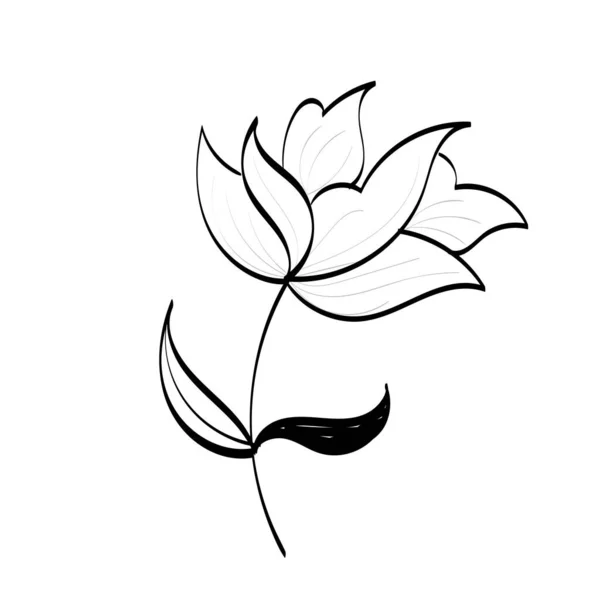 白い背景に孤立した黒いシルエット 花やハーブ 手描きスケッチ花 — ストックベクタ