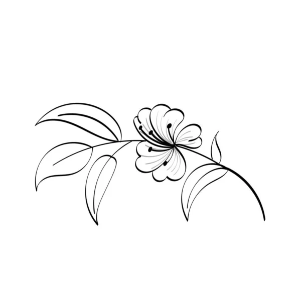 Schwarze Silhouetten Blumen Und Kräuter Isoliert Auf Weißem Hintergrund Handgezeichnete — Stockvektor