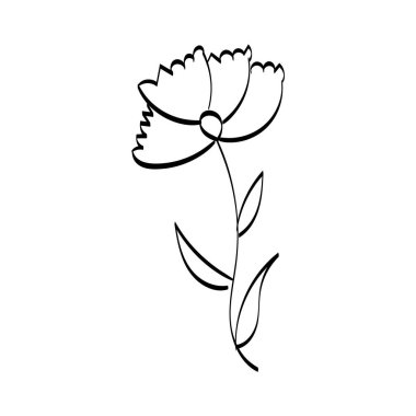 Siyah siluetler, çiçekler ve otlar beyaz arka planda izole edilmiş. El çizimi bir çiçek.