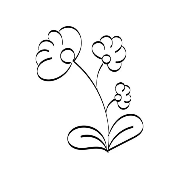 Fekete Sziluettek Virágok Gyógynövények Elszigetelt Fehér Háttér Kézzel Rajzolt Vázlat — Stock Vector