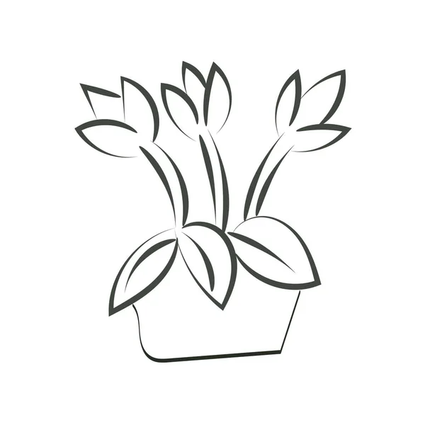 Hand Drawn Pot Flower Use Poster Card Flyer Shirt — Stockový vektor