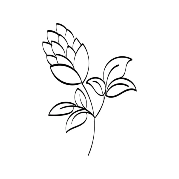 Floral Art Flower Drawing Line Art Drawing Vector Graphics Floral — Stockvector