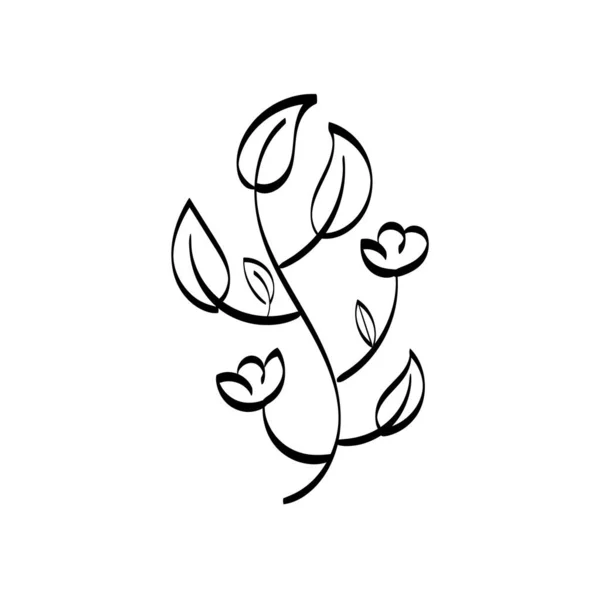 Floral Art Flower Drawing Line Art Drawing Vector Graphics Floral — Vettoriale Stock