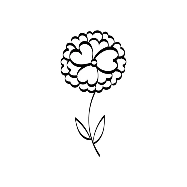 Floral Art Flower Drawing Line Art Drawing Vector Graphics Floral — Archivo Imágenes Vectoriales