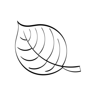 Sonbahar Yaprak Tasarımı. Bahçe dekorasyonu sezonu. Resim için çerçeve, süs, sonbahar tatili fikri. Beyaz arkaplanlı izole vektör çizimleri. Logo, simgeler, dekorasyon. 