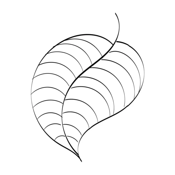 秋叶设计 四季自然装饰花园装饰 想法的图片在框架 秋季假期 具有白色背景的孤立向量图 — 图库矢量图片#