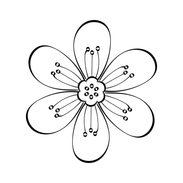 Floral Art Flower Drawing Line Art Drawing Vector Graphics Floral — Stockvektor