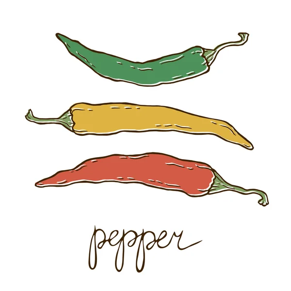 Sketsa Pepper - Stok Vektor