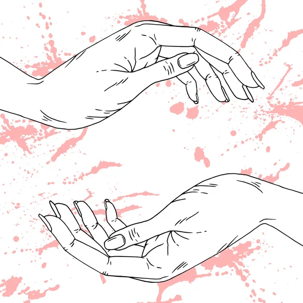 Weibliche Hände — Stockvektor