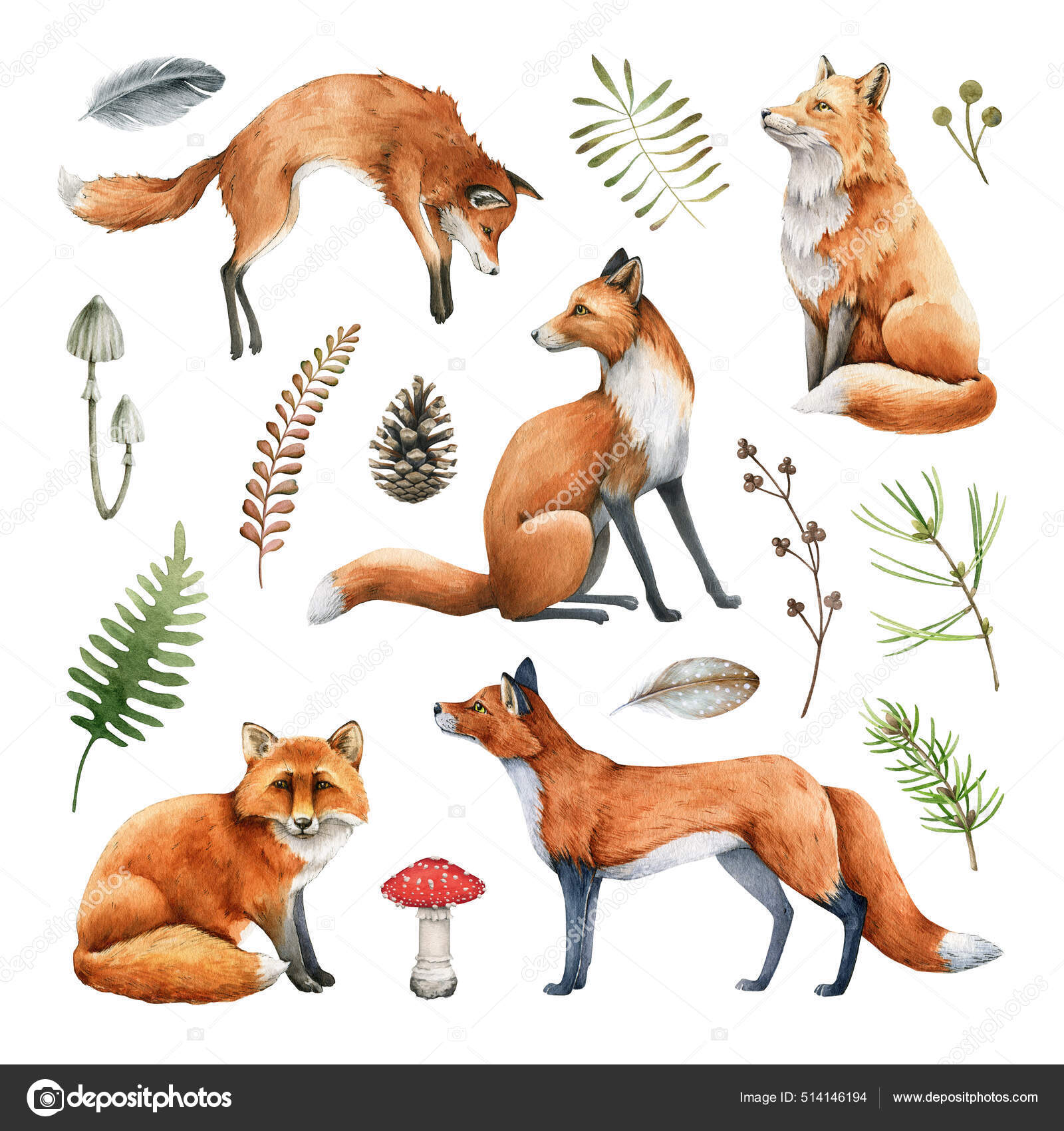 Fox animal watercolor illustration set. Wild cute fox sit and stand  elements. Forest animal and herb collection. White background. Red foxes  and forest natural floral elements set Stock Illustration by ©anitapol  #514146194