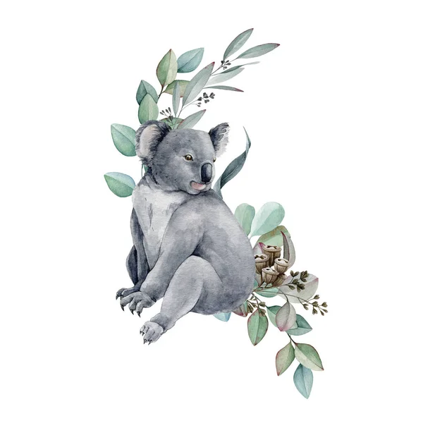 Koala bear watercolor illustration. Grey wild australia endemic furry animal with eucalyptus leaves. Cute koala bear and eucalyptus branch. Native Australia symbol animal element. White background