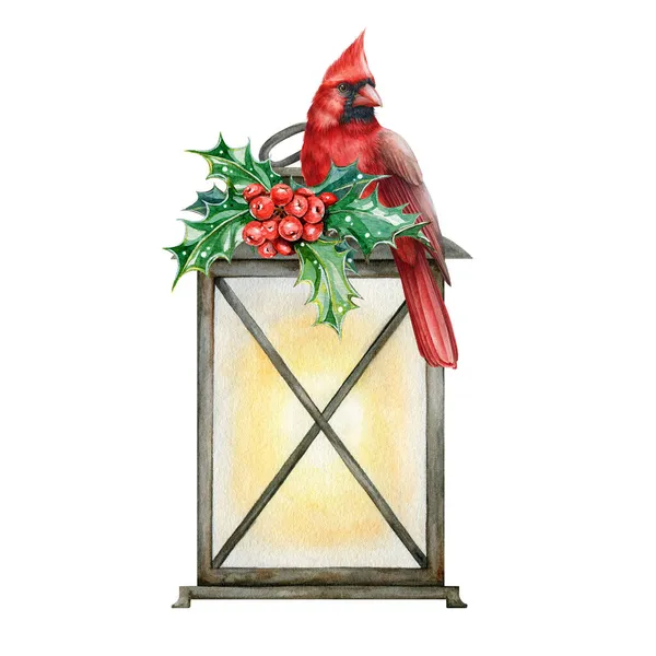 Téli lámpa karácsonyi elrendezése. Akvarell illusztráció. Kézzel rajzolt ünnepi virágdísz vintage lámpás háttér. Téli évjárat dekoráció kézműves elem magyal és vörös bíboros madár — Stock Fotó