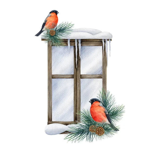 Winter snowy window with bullfinches couple. Watercolor illustration. Hand drawn festive decoration. Cold season decoration with bullfinch, pine branches, snow. Vintage cozy window decor