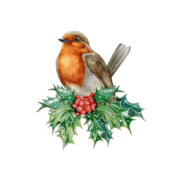 Robin πουλί με φύλλα Holly και κόκκινα μούρα. Εικονογράφηση υδατογραφίας. Χειροποίητο πουλί κήπου με αειθαλή εορταστική ζεστή χειμωνιάτικη διακόσμηση. Ρόμπιν με χριστουγεννιάτικη διακόσμηση. Λευκό φόντο — Φωτογραφία Αρχείου