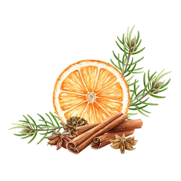 肉桂,茴香,橙片,松枝.水彩画。手工绘制的香气有机香料用于糕点和烘烤冬季装饰.白色背景。健康的有机成份 — 图库照片