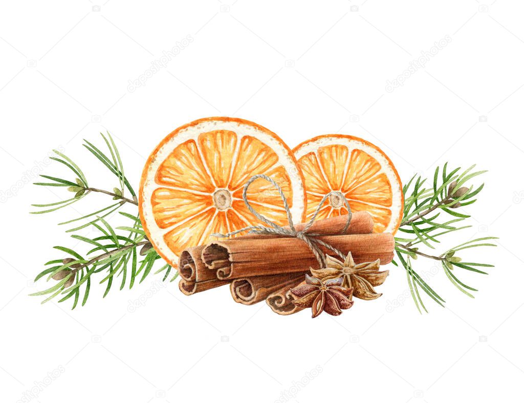 Cinnamon, star anise spices, orange slice with pine decor. Watercolor illustration. Hand drawn aroma organic spices for pastry and baking winter element. White background. Healthy organic ingredients