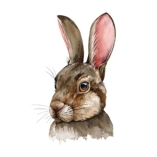 Joli portrait de lapin. Illustration aquarelle. Beau lapin dessiné à la main. Symbole 2023 année. Drôle de tête de lapin. Bel animal lapin. Adorable lièvre sur fond blanc — Photo