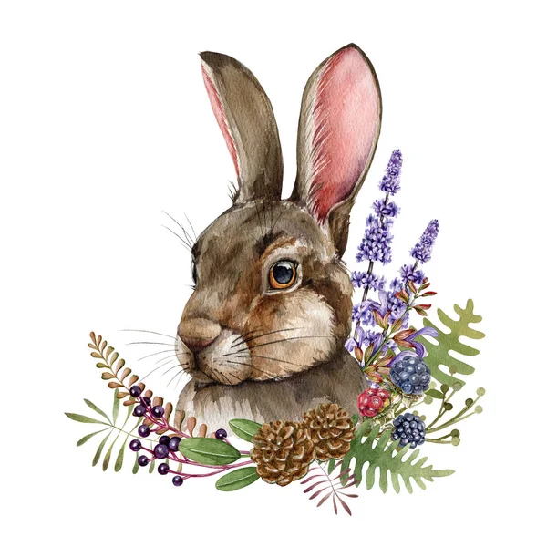 Yabani çiçekler ve otlarla dolu tavşan portresi. Suluboya çizimi. Gerçekçi el çizimi tavşan hayvan. Kırsal doğal orman dekoru. Şirin tavşan ve doğal lavanta çiçekleri, eğrelti otu, koni ve böğürtlen. — Stok fotoğraf