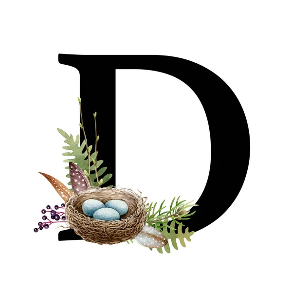 Capital letter D with bird nest. Alphabet element forest decor. Watercolor illustration. Beautiful fern, nest, feathers, eggs rustic decoration. Capital letter D forest element. White background
