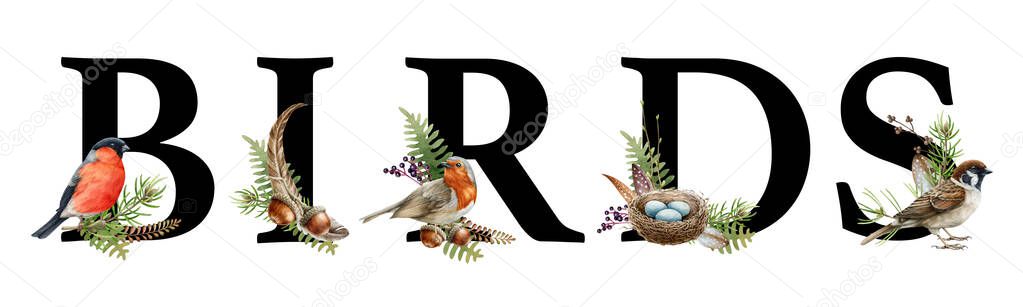 Word birds with forest natural elements. Watercolor illustration. Decorative sign with birds, feathers, nest, fern and leaves. Rustic decor. Bullfinch, robin, sparrow in forest alphabet banner