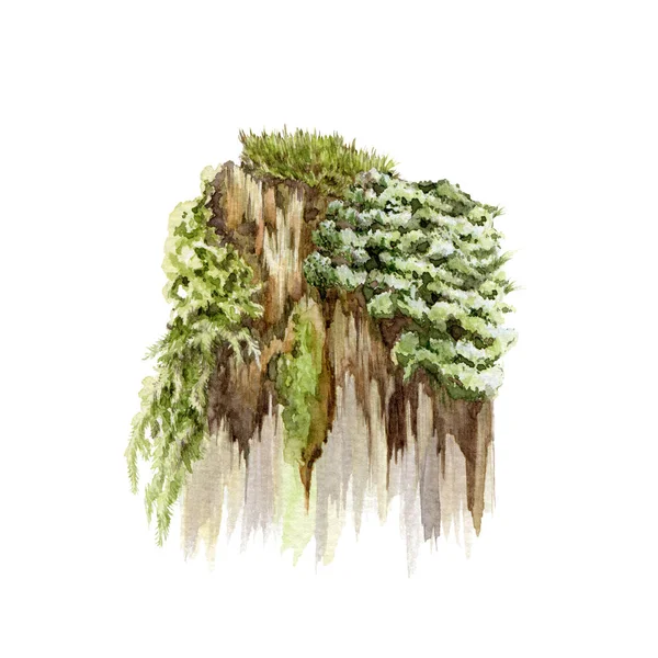Viejo muñón con musgo. Ilustración realista acuarela. Árbol tronco podrido con musgo verde y hierba. Trozo de madera vieja con líquenes verdes, plantas. Fondo blanco — Foto de Stock