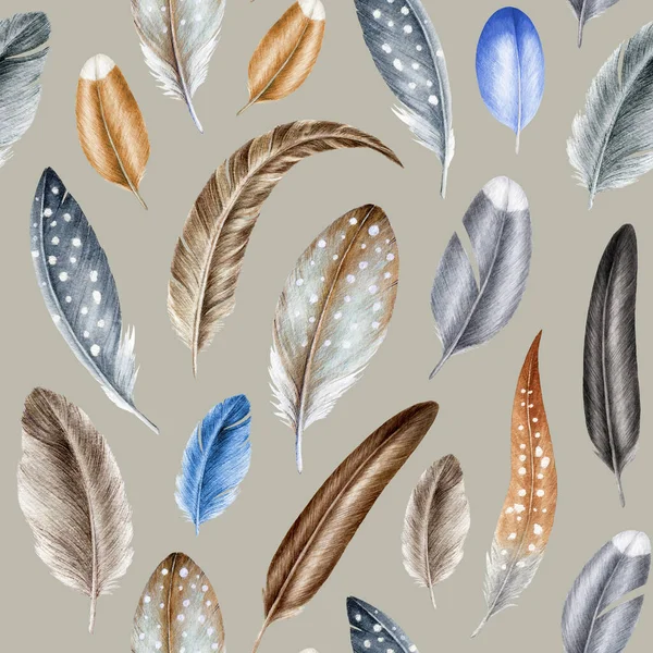 Tüysüz desen. Suluboya çizimi. Tarafsız arka planda elle çizilmiş gerçekçi tüyler. Farklı tüy elementleri pürüzsüz desen. Vahşi yaşam kuşu tüy sallıyor