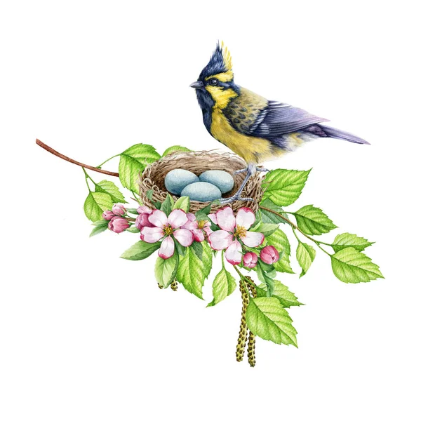 Small garden bird on the nest. Watercolor illustration. Himalayan tit on the tree branch and blooming flowers. Lush, spring nature decor. Cozy watercolor nesting bird illustration — стоковое фото