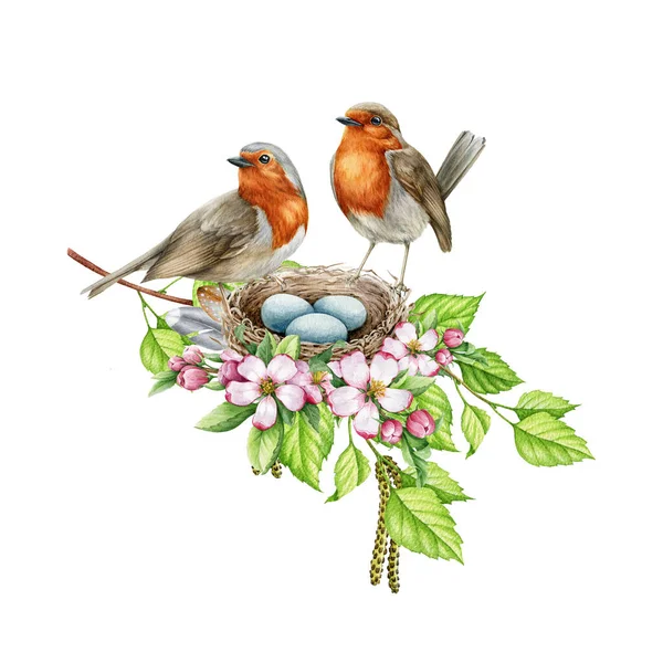 Robin ptaków w gnieździe z jajkami i wiosennymi kwiatami. Akwarela realistyczna ilustracja. Przytulne wiosenne dekoracje. Para rubinów lęgowych w kwitnących wiosennych kwiatach i zielonych liściach — Zdjęcie stockowe