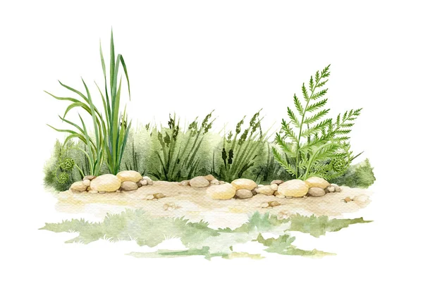 Sol sablonneux avec fond d'herbe verte. Illustration aquarelle. Sol sablonneux naturel avec de petites roches avec de l'herbe verte luxuriante, fougère et herbes sauvages sur le fond. Scène naturelle — Photo