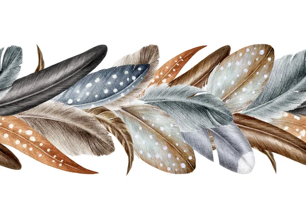 Bird feathers in seamless border. Watercolor illustration. Hand drawn realistic bird feather element. Natural rustic and boho decoration. Hand drawn feather seamless border — Stock Photo, Image