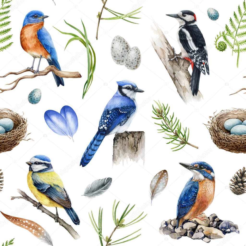 Forest birds seamless pattern. Watercolor illustration. Realistic blue jay, woodpecker, kingfisher, bluebird natural wild herbs seamless pattern. Natural wildlife element