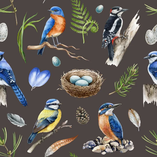 Skogsfåglar i sömlöst mönster. Akvarell illustration. Blåskrika, hackspett, kungsfiskare, blåfågel, fjädrar, örter sömlöst mönster. Naturligt vildmarkselement. Mörk bakgrund — Stockfoto