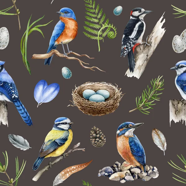 Forest birds in seamless pattern. Watercolor illustration. Blue jay, woodpecker, kingfisher, bluebird, feathers, herbs seamless pattern. Natural wildlife element. Dark background