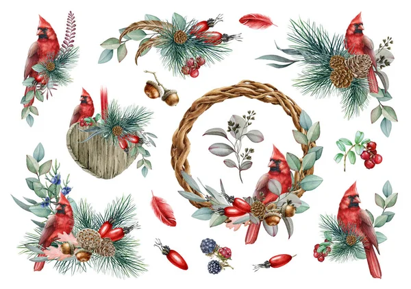 Zimowy wiejski zestaw kwiatowy. Ilustracja akwareli. Ręcznie rysowany naturalny wystrój z czerwonym kardynalskim ptakiem, sosną, liśćmi eukaliptusa, żołędziem, kolekcją jagód. Zestaw dekoracji na białym tle — Zdjęcie stockowe