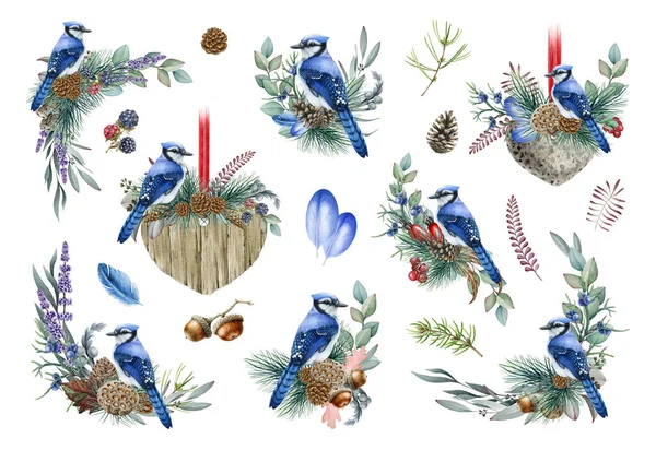 Arreglo floral de invierno con jay bird azul. Ilustración en acuarela. Elementos decorativos naturales rústicos dibujados a mano con pino, eucalipto, hierbas del bosque, conos y aves —  Fotos de Stock