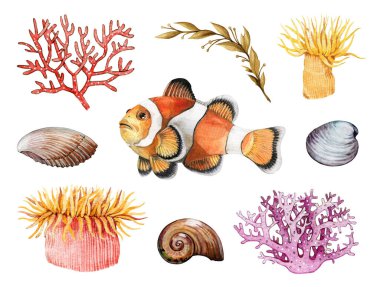Mercan palyaço balığı, mercan, deniz kabuğu suluboya seti. El çizimi parlak deniz canlıları. Nemo balığı, parlak tropikal mercanlar suluboya çizimi. Beyaz arkaplanda sualtı elementleri.