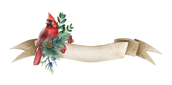 Pájaro Cardenal Rojo Bandera Vintage Ilustración Invierno Acuarela Decoración Rústica —  Fotos de Stock