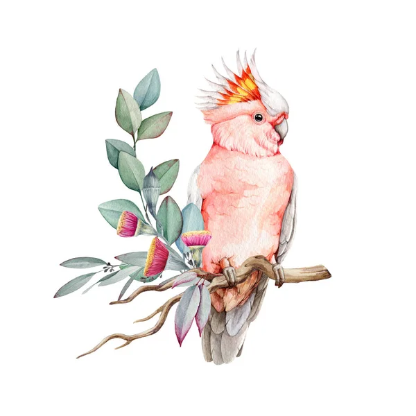 Pássaro Cacatua Rosa Com Flores Folhas Eucalipto Ilustração Aquarela Cacatua — Fotografia de Stock