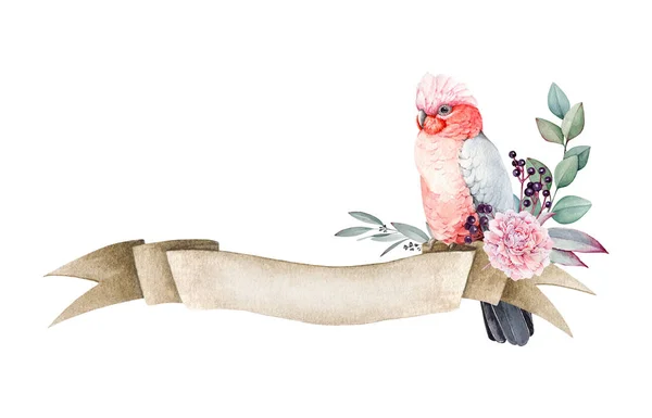 Różowy Szary Kakadu Papuga Vintage Baner Kwiatowy Wystrój Ilustracja Akwareli — Zdjęcie stockowe