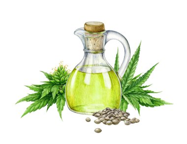 Cam şişede kenevir yağı. Suluboya çizimi. Kenevir tohumlarından ham CBC tıbbi bakım yağı. Kenevir yağı ve ilaç takviyesi. Kenevir sativa tıbbi bitki özü şişede..