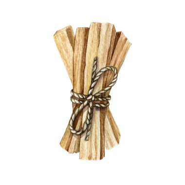 Palo santo sopası. Suluboya çizimi. Elle çizilmiş ahşap aromalı çubuklar. Palo santo kutsal Bulnesia sarmientoi ağaç elementi meditasyon, iyileşme, rahatlama, sağIık için.