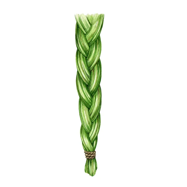 Sweetgrass Vlecht Aquarel Illustratie Handgetekende Aromatische Kruid Voor Spirituele Oefening — Stockfoto