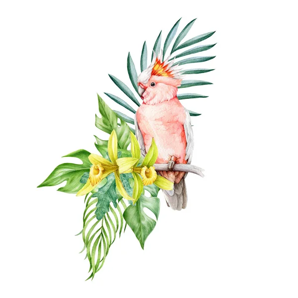 ピンクのパロットでエキゾチックな熱帯花の装飾 水彩イラスト ヤシの葉が付いている美しい熱帯の鳥 黄色い明るい蘭の装飾 白い背景に花のエキゾチックな装飾 — ストック写真