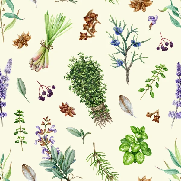 Trädgård Aromatiska Örter Sömlösa Mönster Akvarell Illustration Handritad Salvia Lavendel — Stockfoto