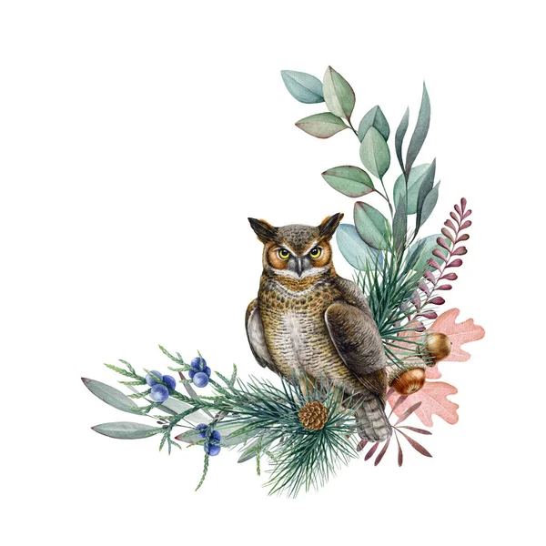 Sova Přírodním Květinovým Dekorem Ilustrace Akvarelů Ručně Kreslené Krásné Realistické — Stock fotografie