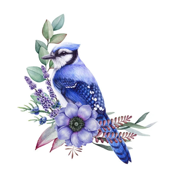 Blauwe Jay Vogel Met Zachte Bloemen Aquarelillustratie Prachtige Bosvogel Met — Stockfoto