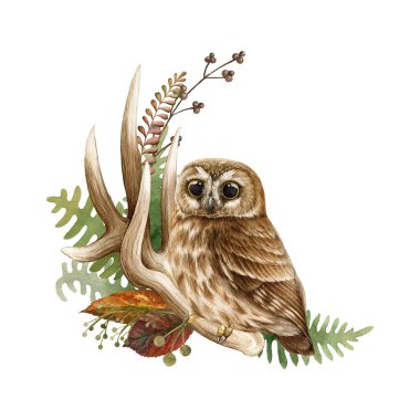 Küçük kahverengi baykuşlu çiçek ormanı dekoru. Suluboya çizimi. Elle çizilmiş orman çiçeği süslemesi geyik boynuzu, eğrelti otu, yaprak, baykuş. Kırsal stil doğal dekor.